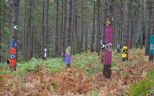 El Bosque de Oma es uno de las espesura arbóreas con mayor encanto que se pueden visitar.