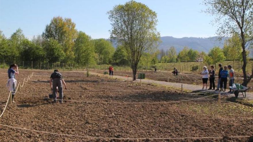 Agricultores trabajan por la producción ecológica.