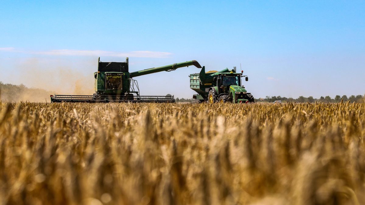 Recolecci&oacute;n de grano en una granja de Odesa.