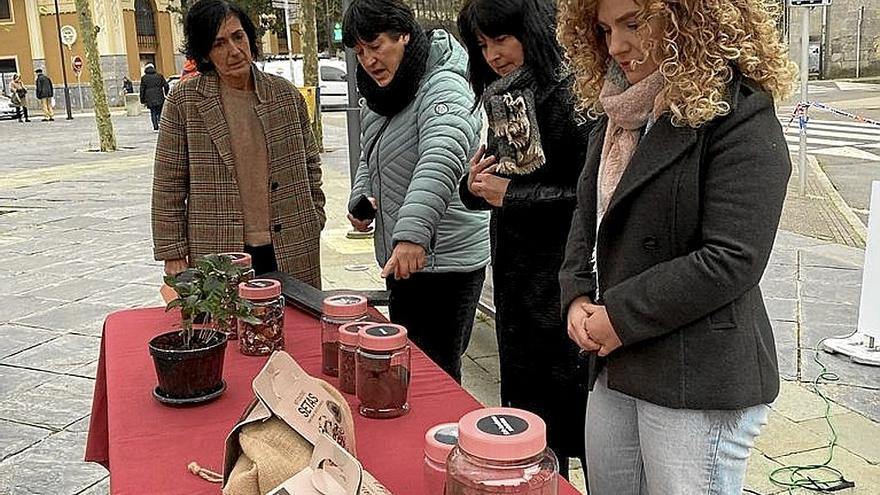 Representantes de la Mancomunidad de Tolosaldea, ayer. | FOTO: M.S.S.