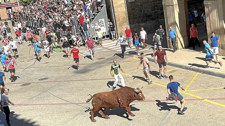 Los toros de Hermanos Ganuza y El Tolco protagonizan dos carreras limpias