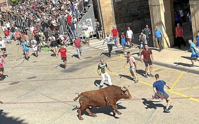 Los toros de Hermanos Ganuza y El Tolco protagonizan dos carreras limpias Los toros de Hermanos Ganuza y El Tolco protagonizan dos carreras limpias