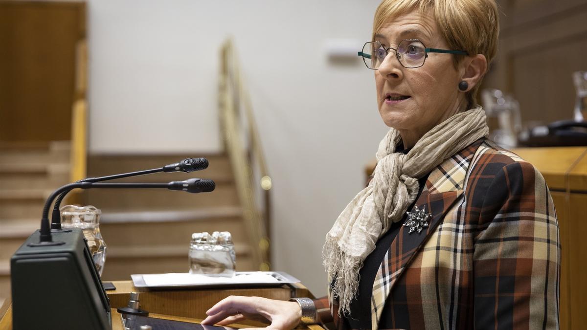 La consejera de Desarrollo Económico, Sostenibilidad y Medio Ambiente, Arantxa Tapia, en el pleno del parlamento vasco, en Vitoria.