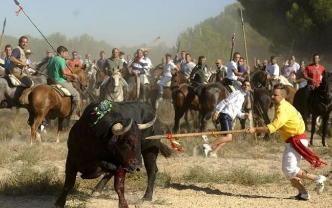 Imagen de archivo del torneo del Toro de la Vega. Imagen de archivo del torneo del Toro de la Vega.