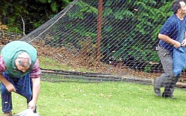 Usazaleak recogiendo las palomas vivas. | FOTO: ONDIKOL