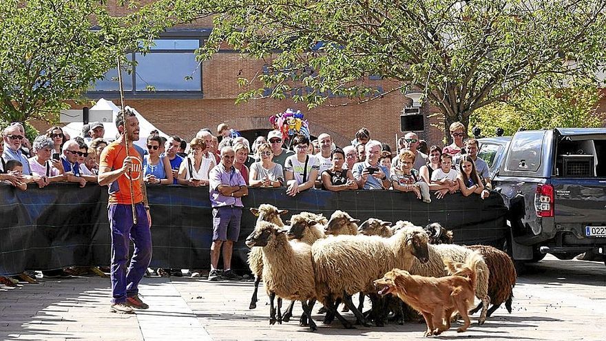 Demostración de técnicas de adiestramiento de perros en la plaza de Legazpi.