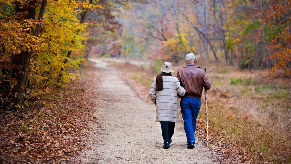 Una pareja de ancianos disfrutan de un paseo durante el otoño