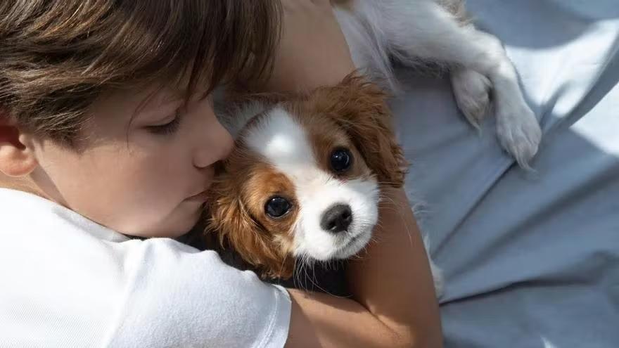 Un ni&ntilde;o abraza a un perro