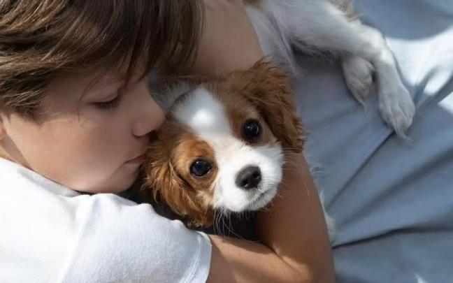 Un ni&ntilde;o abraza a un perro