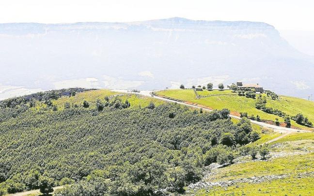 San Miguel de Aralar y, al fondo, la mole de Beriain.
