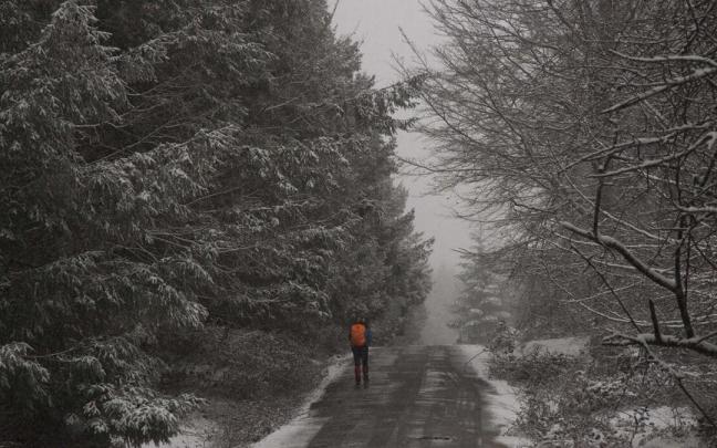 El invierno se adentra en la sala de exposiciones de Fundaci&oacute;n Vital en un recorrido para el p&uacute;blico familiar