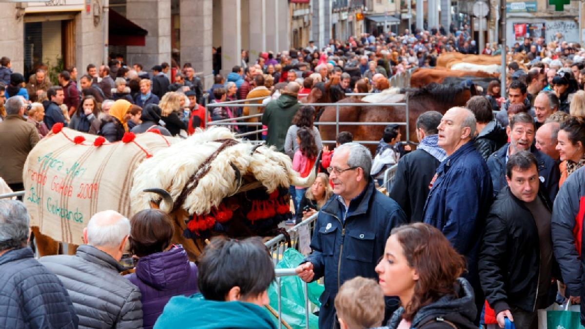 Una multitud en torno al ganado de la feria de San Andres 2018, en Eibar