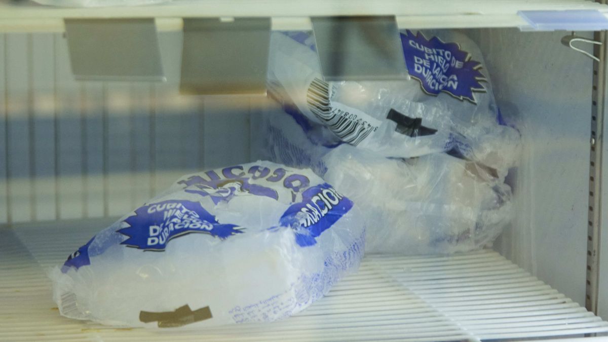 Detalle de una bolsa de cubos de hielo en un supermercado.