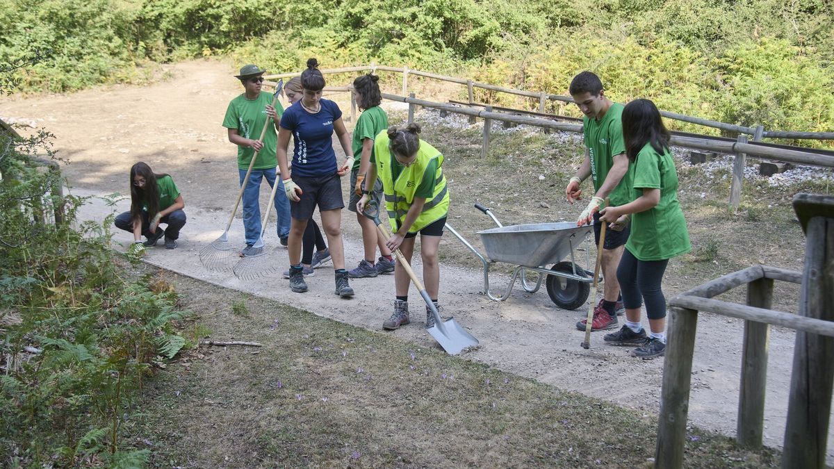 Los voluntarios hacen uso de palas, rastrillos y carretillas para habilitar la zona.