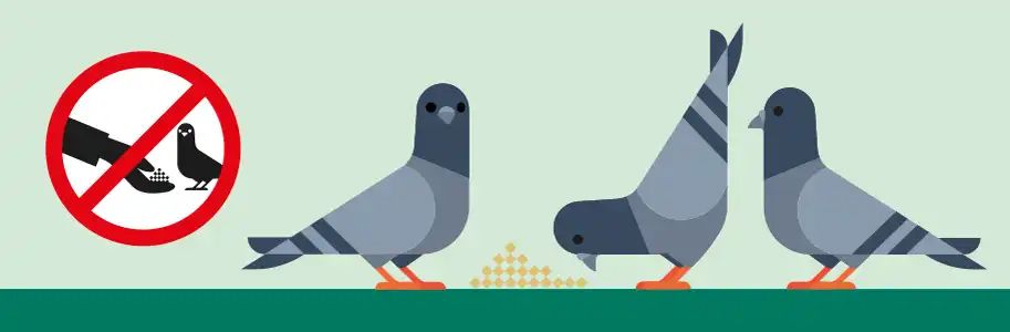 Imagen de la campaña 'No alimentes a las palomas. No lo necesitan'