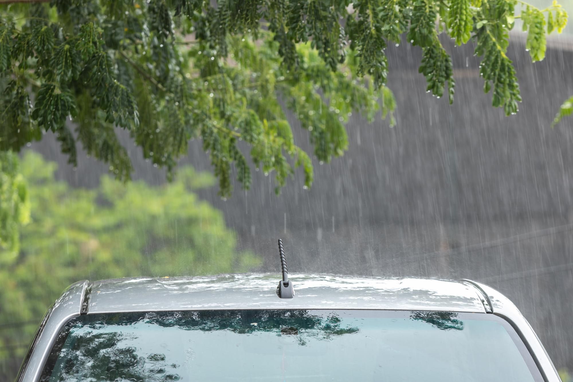 Un coche debajo de un árbol bajo una intensa lluvia.