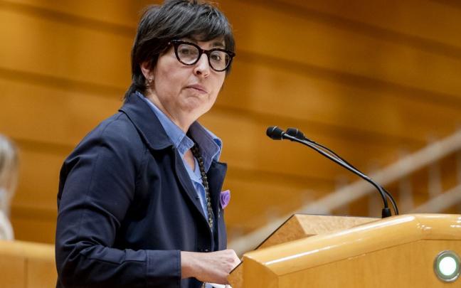 La senadora del PNV, María Dolores Etxano, durante una de sus intervenciones. La senadora del PNV, María Dolores Etxano, durante una de sus intervenciones.