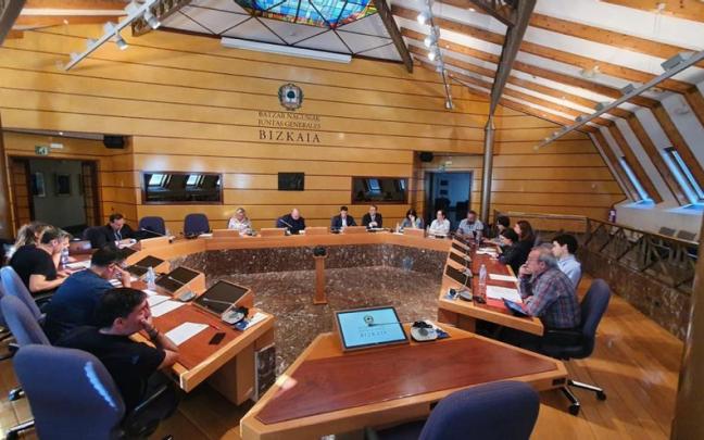 Imanol Pradales, en su comparecencia de este lunes en las Juntas Generales Imanol Pradales, en su comparecencia de este lunes en las Juntas Generales