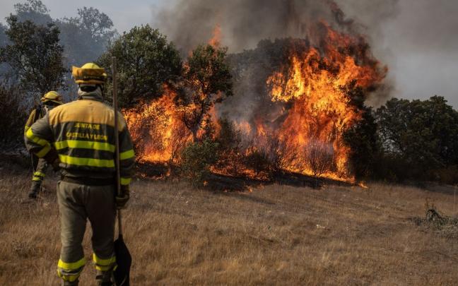 Labores de extinción en Zamora. Labores de extinción en Zamora.