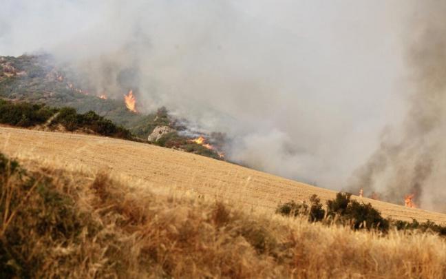 Incendio originado cerca del casco urbano de Zambrana.
