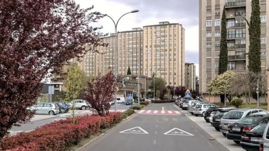 Imagen de la avenida Central de Barañáin.