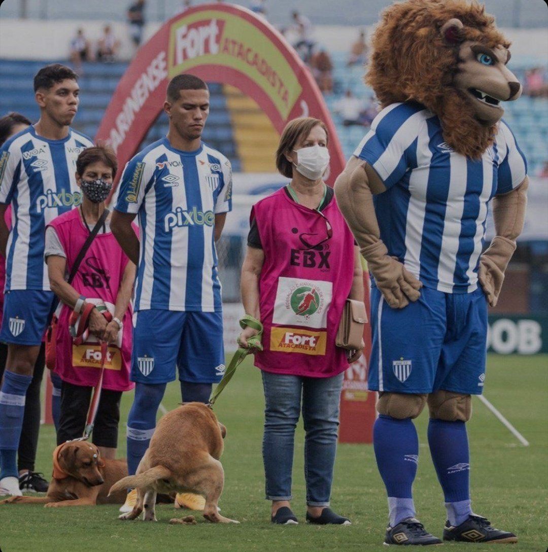 Eso sí que no es respetar un minuto de silencio.