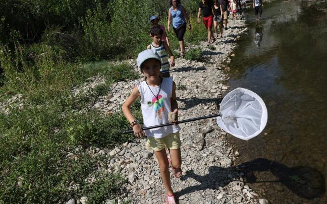Una niña se acerca a los juncos con una red para intentar coger una libélula.