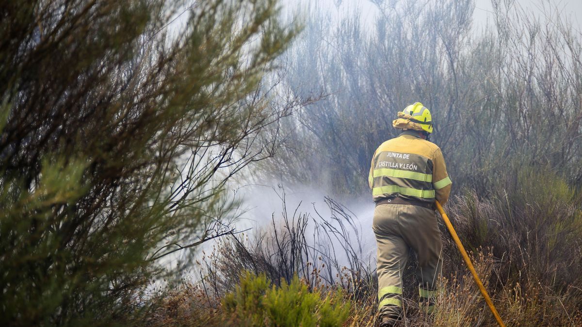 Un brigadista trabaja en la extinción de un incendio en Zamora.
