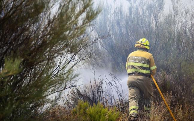 Un brigadista trabaja en la extinción de un incendio en Zamora. Un brigadista trabaja en la extinción de un incendio en Zamora.