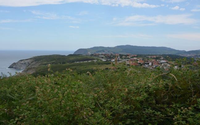 Los nuevos trabajadores realizarán tareas de mantenimiento.
