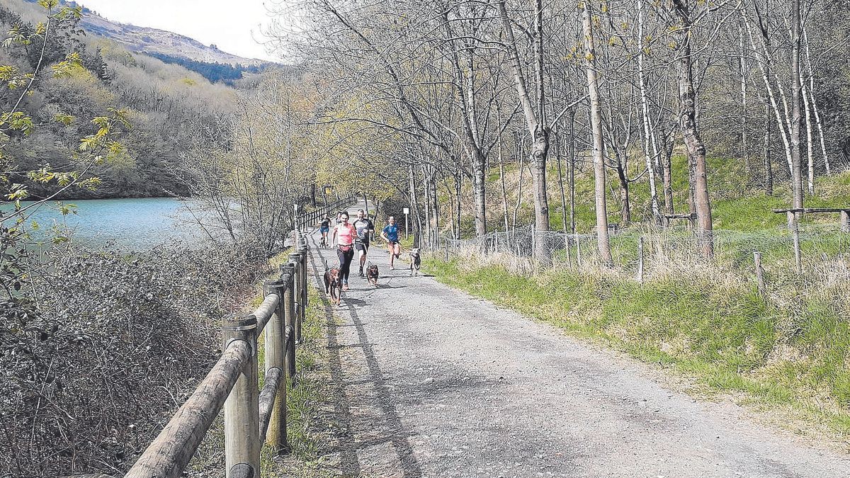 La normativa se ha actualizado para, entre otras cosas, dejar constancia de la posibilidad de acceso de animales, como ya ven&iacute;a ocurriendo