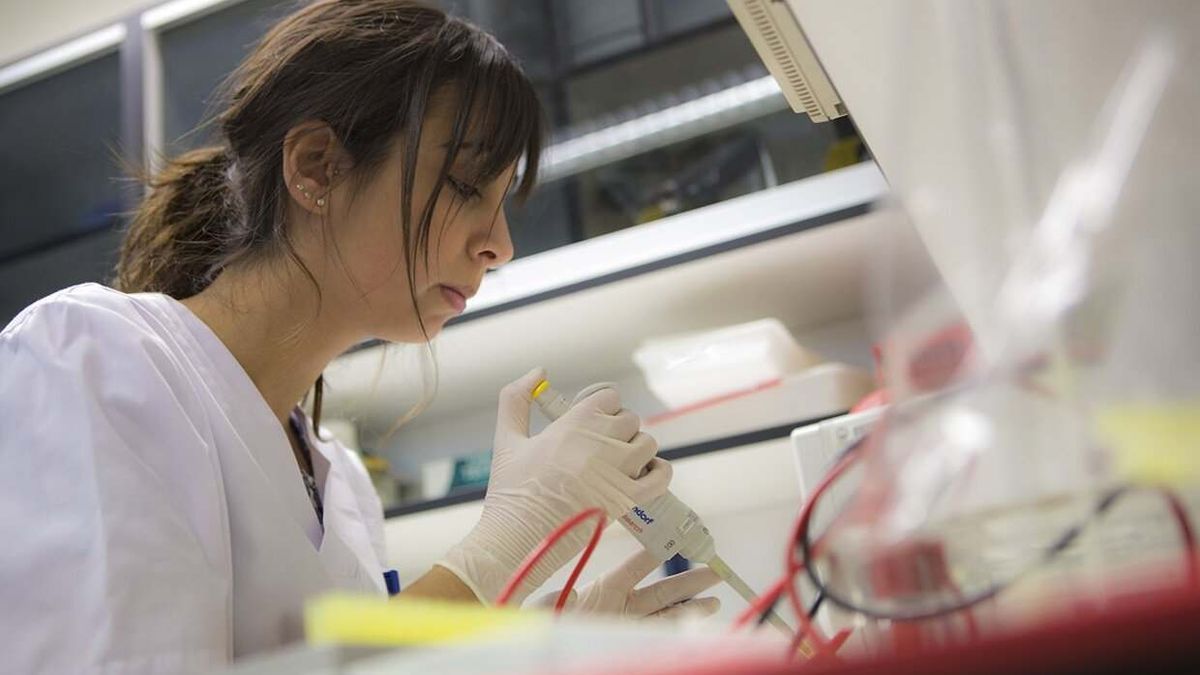 Una investigadora en un laboratorio de la UPNA.