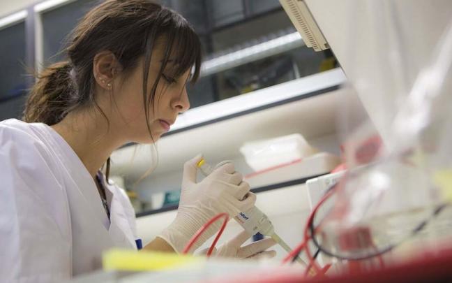 Una investigadora en un laboratorio de la UPNA. Una investigadora en un laboratorio de la UPNA.