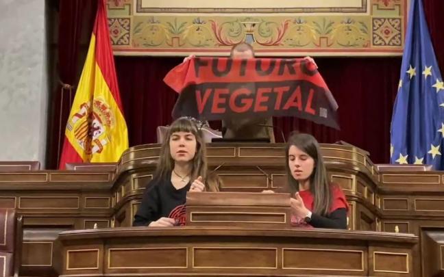 Las activistas se intentar pegar a los micrófonos mientras un compañero suyo exhibe una bandera. Las activistas se intentar pegar a los micrófonos mientras un compañero suyo exhibe una bandera.