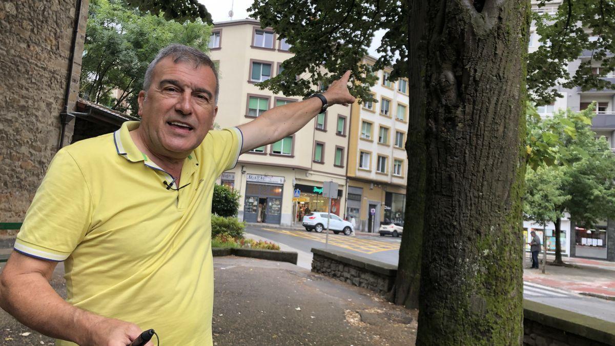 El durangarra José Luis Zuloaga señala los hongos que padece uno de los tilos situados en las inmediaciones de la ermita de Madalena.