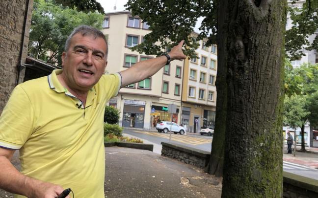 El durangarra José Luis Zuloaga señala los hongos que padece uno de los tilos situados en las inmediaciones de la ermita de Madalena.