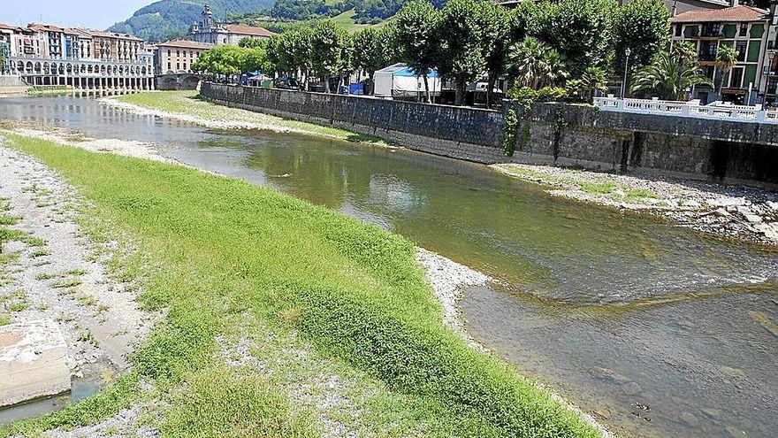 Zona del río Oria donde viven y están poniendo huevos los chorlitejo chicos.