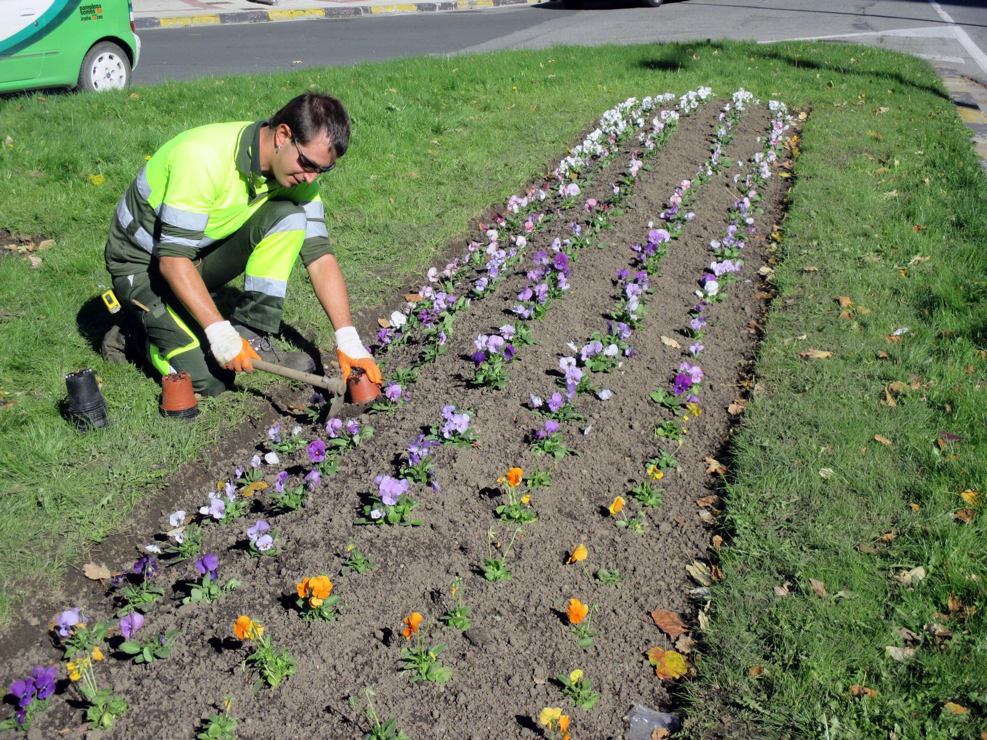 Imagen de los trabajos en los parterres