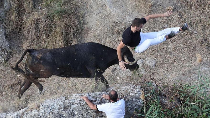 Una vaca se ensaña con un corredor en el último encierro del Pilón