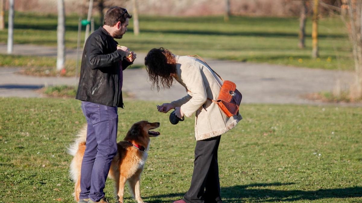 Perro y dueños disfrutando de la naturaleza en Vitoria