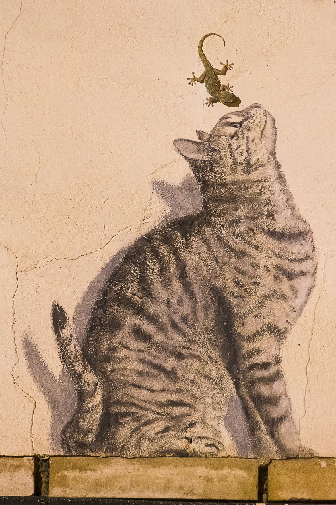 ‘Salamanquesa y gato. Trampantojo’, fotografía tomada en Corella aprovechando el mural de Rafa González Ruiz en una fachada de la plaza del Ayuntamiento.