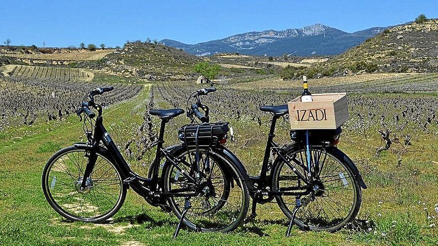 Dos bicicletas eléctricas junto a los viñedos de Izadi. | FOTO: DNA