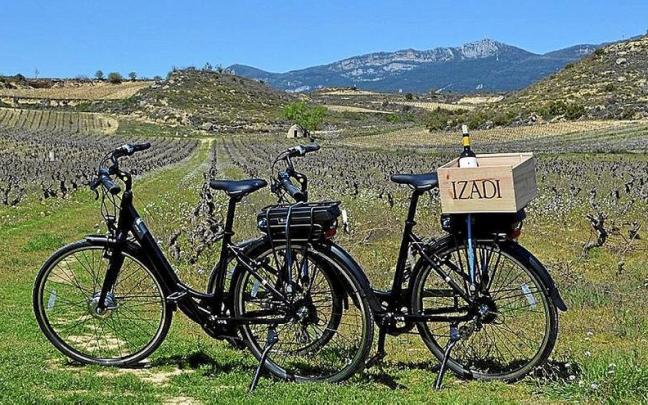 Dos bicicletas eléctricas junto a los viñedos de Izadi. | FOTO: DNA