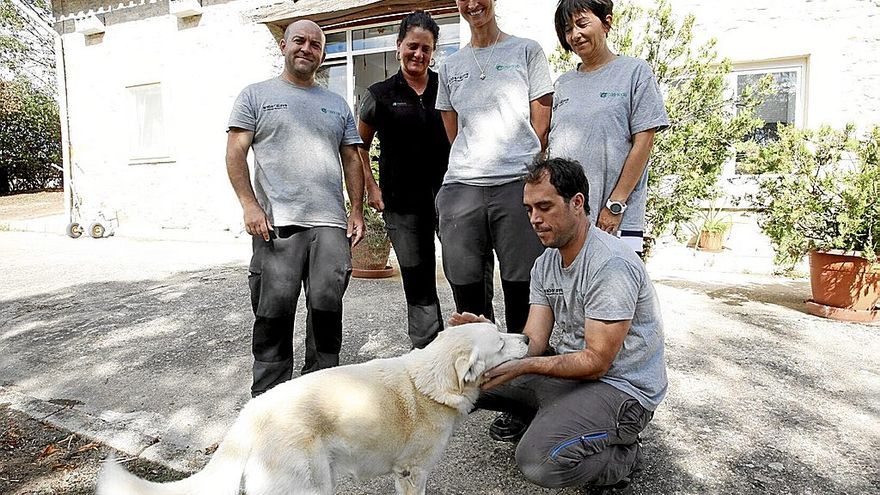 Ricar, Patricia, Rakel, Marta y Mikel acariciando a Artza en Mártioda; atendiendo a un animal; armarios a la entrada para depositar especies heridas y voladero.