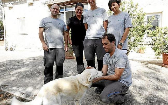 Ricar, Patricia, Rakel, Marta y Mikel acariciando a Artza en Mártioda; atendiendo a un animal; armarios a la entrada para depositar especies heridas y voladero. Ricar, Patricia, Rakel, Marta y Mikel acariciando a Artza en Mártioda; atendiendo a un animal; armarios a la entrada para depositar especies heridas y voladero.