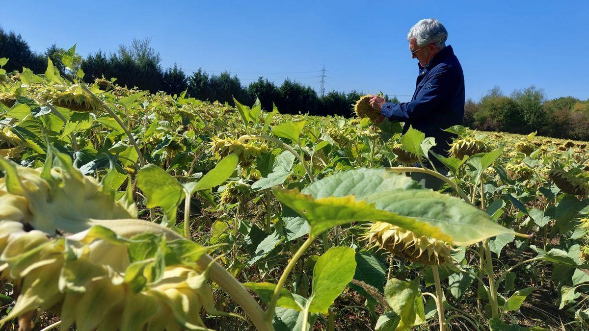 Eduardo Aguinaco visita las fincas de Eskalmendi.