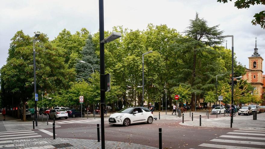 Los árboles de la plaza de la Cruz vistos desde la esquina de la calle Sangüesa y Navarro Villoslada.