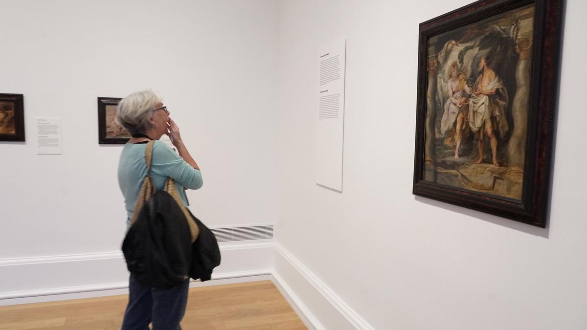 La selección estará en el Museo de Bellas Artes hasta el 22 de enero.