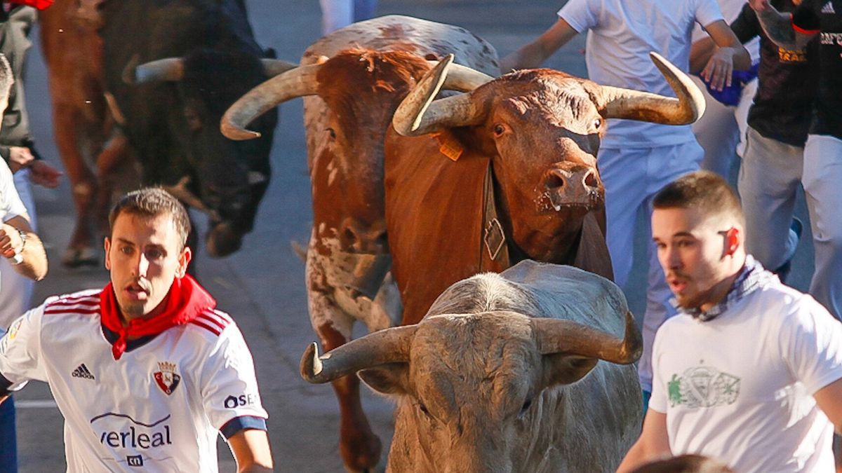 Último encierro de las fiestas de Tafalla