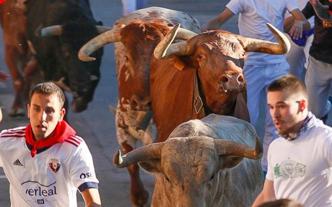 Último encierro de las fiestas de Tafalla Último encierro de las fiestas de Tafalla